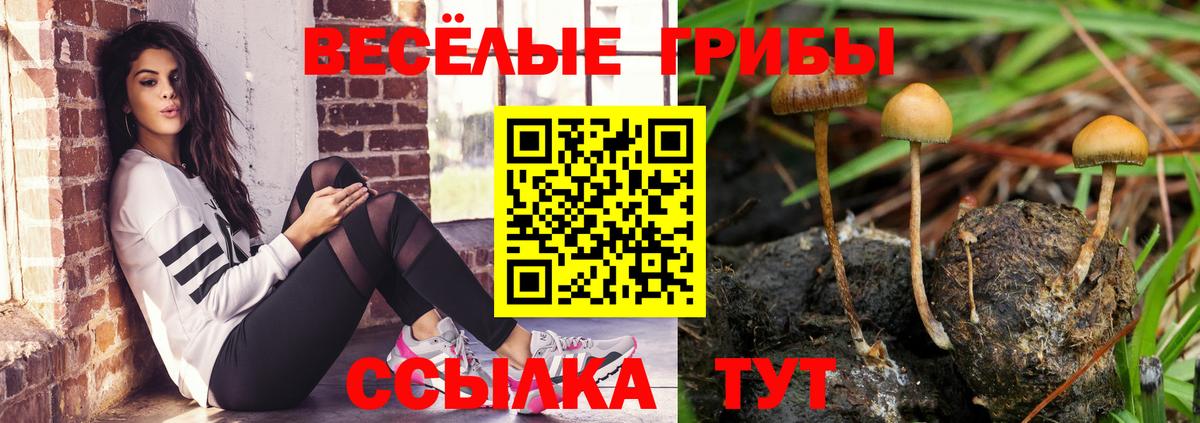 Галлюциногенные грибы Cubensis Сибай