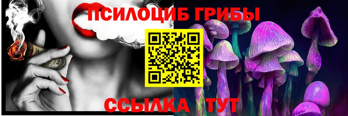 цены   Псилоцибиновые грибы мухоморы  Галлюциногенные грибы GOLDEN TEACHER  Вход с VPN  Сибай 